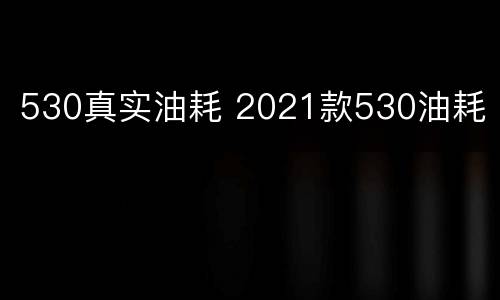530真实油耗 2021款530油耗
