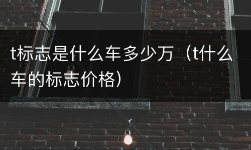 t标志是什么车多少万（t什么车的标志价格）