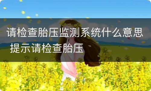 请检查胎压监测系统什么意思 提示请检查胎压