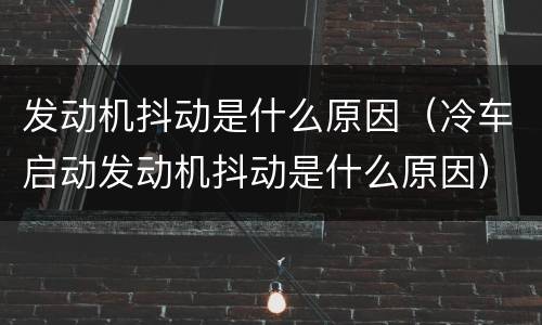 发动机抖动是什么原因（冷车启动发动机抖动是什么原因）