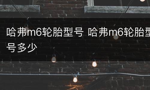 哈弗m6轮胎型号 哈弗m6轮胎型号多少