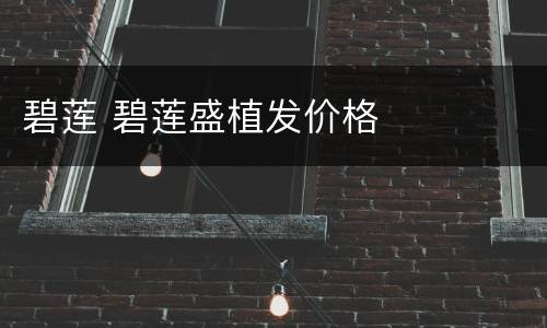 碧莲 碧莲盛植发价格