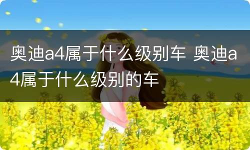 奥迪a4属于什么级别车 奥迪a4属于什么级别的车
