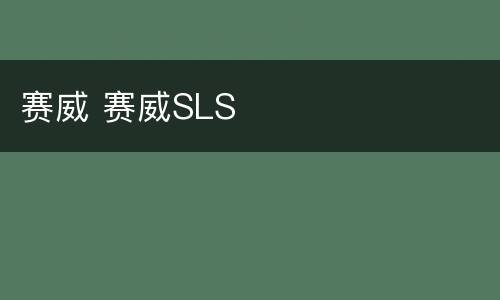 赛威 赛威SLS