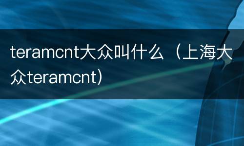 teramcnt大众叫什么（上海大众teramcnt）