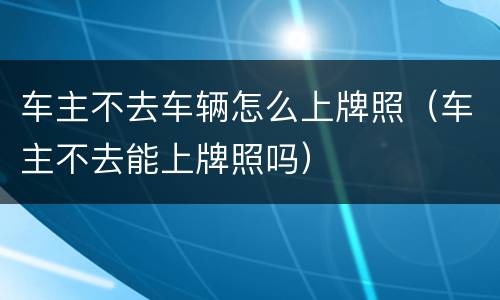 车主不去车辆怎么上牌照（车主不去能上牌照吗）