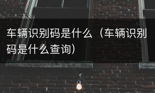 车辆识别码是什么（车辆识别码是什么查询）