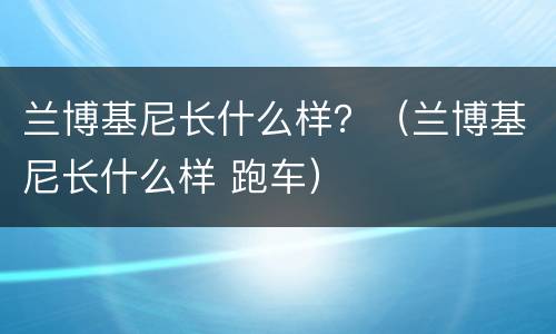 兰博基尼长什么样？（兰博基尼长什么样 跑车）