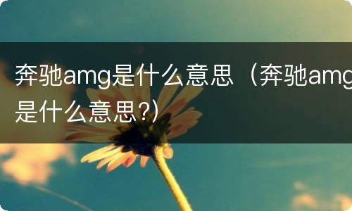 奔驰amg是什么意思（奔驰amg是什么意思?）