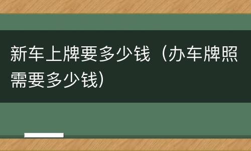 新车上牌要多少钱（办车牌照需要多少钱）