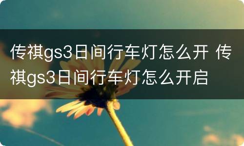 传祺gs3日间行车灯怎么开 传祺gs3日间行车灯怎么开启
