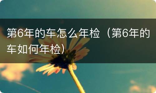 第6年的车怎么年检（第6年的车如何年检）