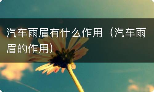 汽车雨眉有什么作用（汽车雨眉的作用）
