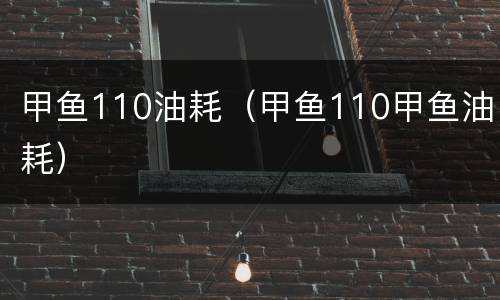 甲鱼110油耗（甲鱼110甲鱼油耗）