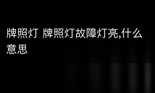 牌照灯 牌照灯故障灯亮,什么意思