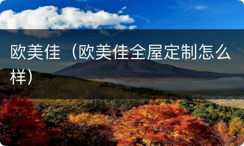 欧美佳（欧美佳全屋定制怎么样）