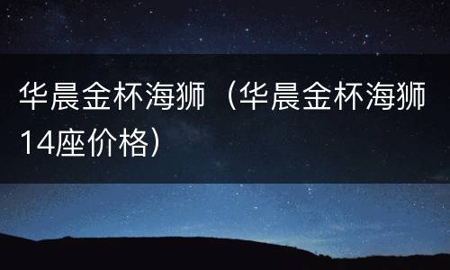 华晨金杯海狮（华晨金杯海狮14座价格）