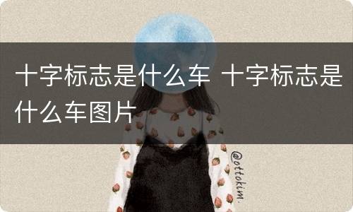 十字标志是什么车 十字标志是什么车图片