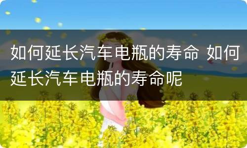 如何延长汽车电瓶的寿命 如何延长汽车电瓶的寿命呢