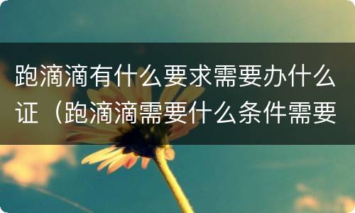 跑滴滴有什么要求需要办什么证（跑滴滴需要什么条件需要办什么证）