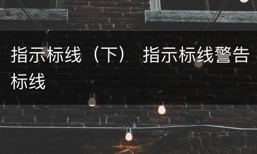 指示标线（下） 指示标线警告标线