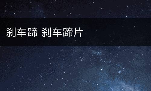 刹车蹄 刹车蹄片