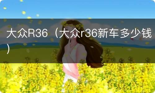 大众R36（大众r36新车多少钱）