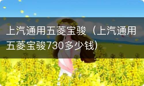 上汽通用五菱宝骏（上汽通用五菱宝骏730多少钱）