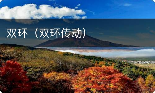 双环（双环传动）