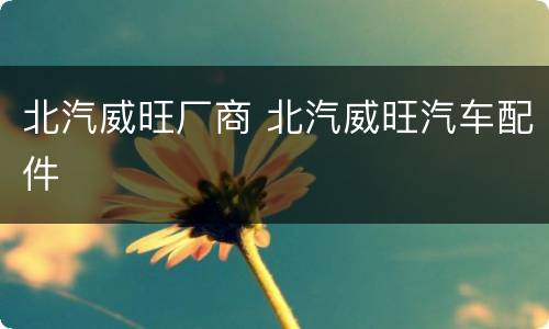 北汽威旺厂商 北汽威旺汽车配件