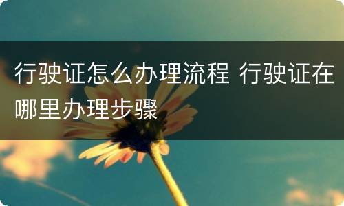 行驶证怎么办理流程 行驶证在哪里办理步骤