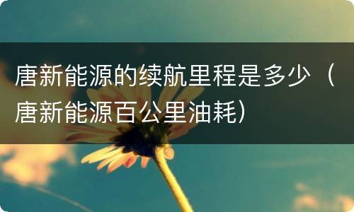 唐新能源的续航里程是多少（唐新能源百公里油耗）