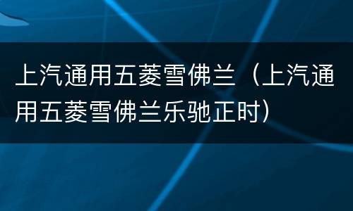 上汽通用五菱雪佛兰（上汽通用五菱雪佛兰乐驰正时）