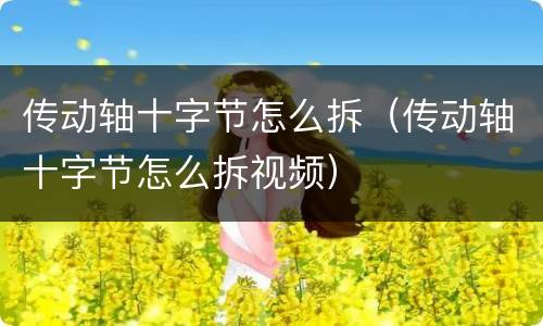 传动轴十字节怎么拆（传动轴十字节怎么拆视频）