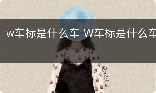w车标是什么车 W车标是什么车