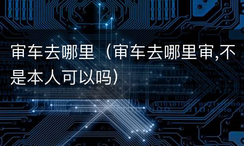 审车去哪里（审车去哪里审,不是本人可以吗）