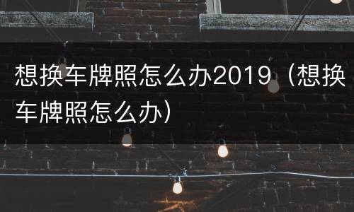 想换车牌照怎么办2019（想换车牌照怎么办）