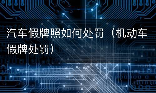 汽车假牌照如何处罚（机动车假牌处罚）