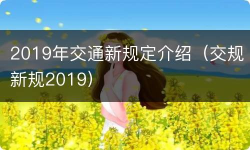 2019年交通新规定介绍（交规新规2019）