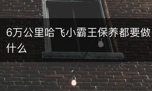 6万公里哈飞小霸王保养都要做什么
