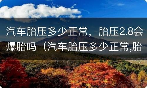 汽车胎压多少正常，胎压2.8会爆胎吗（汽车胎压多少正常,胎压2.8会爆胎吗视频）