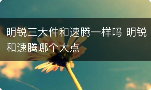 明锐三大件和速腾一样吗 明锐和速腾哪个大点