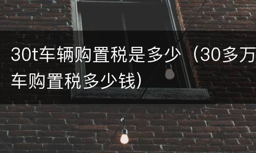 30t车辆购置税是多少（30多万车购置税多少钱）