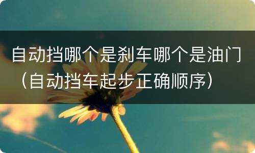 自动挡哪个是刹车哪个是油门（自动挡车起步正确顺序）