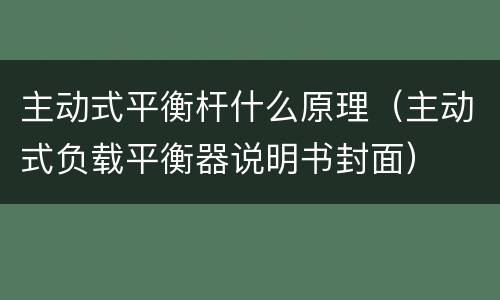主动式平衡杆什么原理（主动式负载平衡器说明书封面）