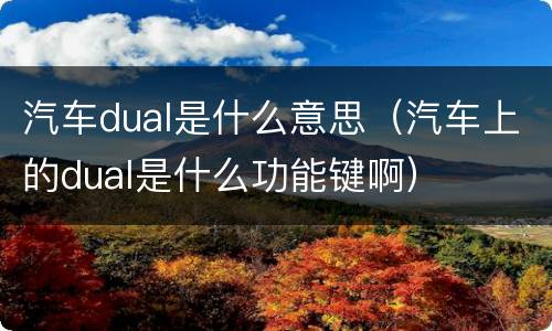 汽车dual是什么意思（汽车上的dual是什么功能键啊）