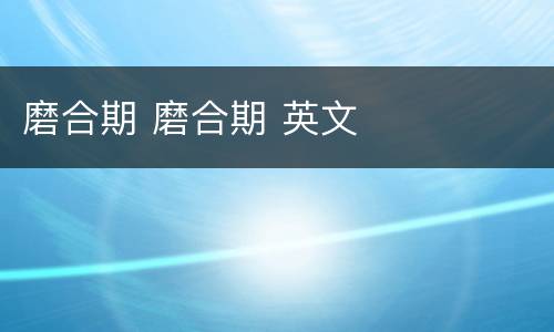 磨合期 磨合期 英文