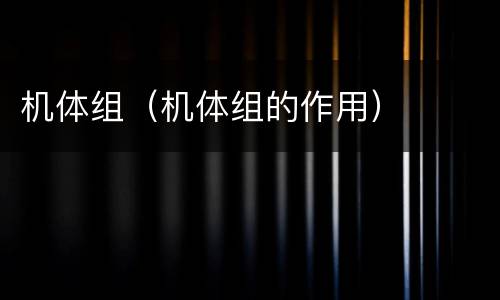 机体组（机体组的作用）