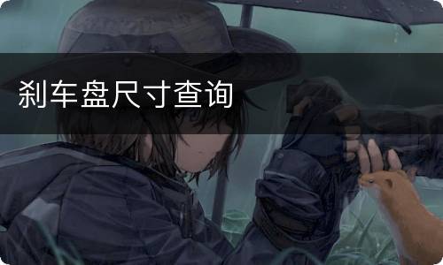 刹车盘尺寸查询