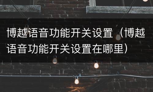 博越语音功能开关设置（博越语音功能开关设置在哪里）